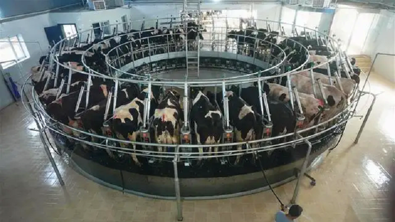 云顶集团(中国区)官方网站